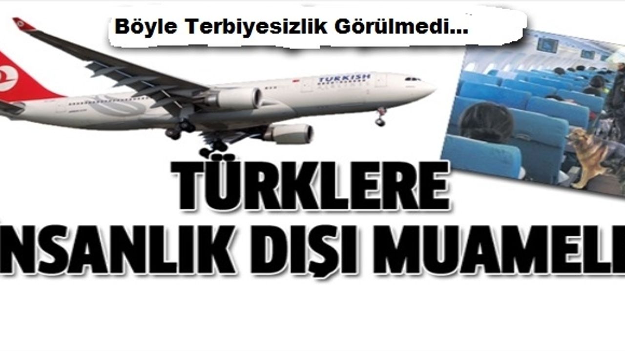 Türk yolcuları köpeklere koklattılar