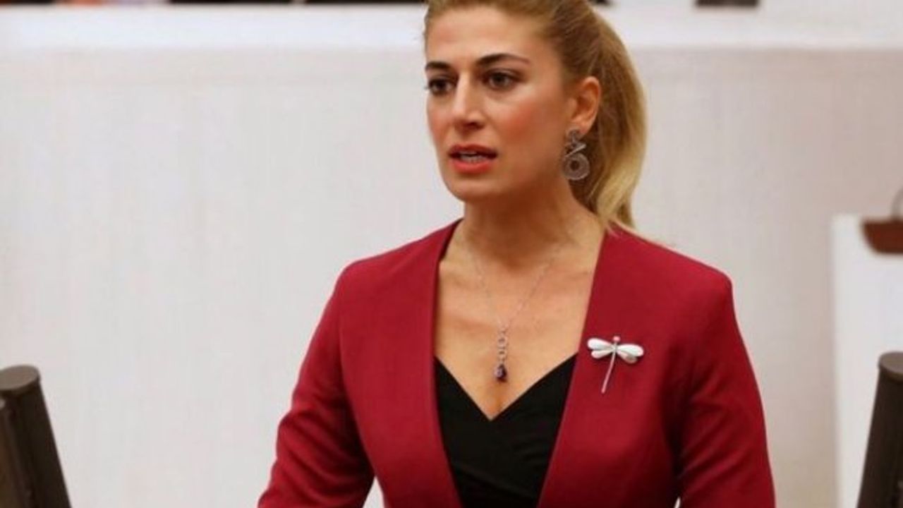 CHP'li Didem Engin'de cumhurbaşkanı aday adayı oldu