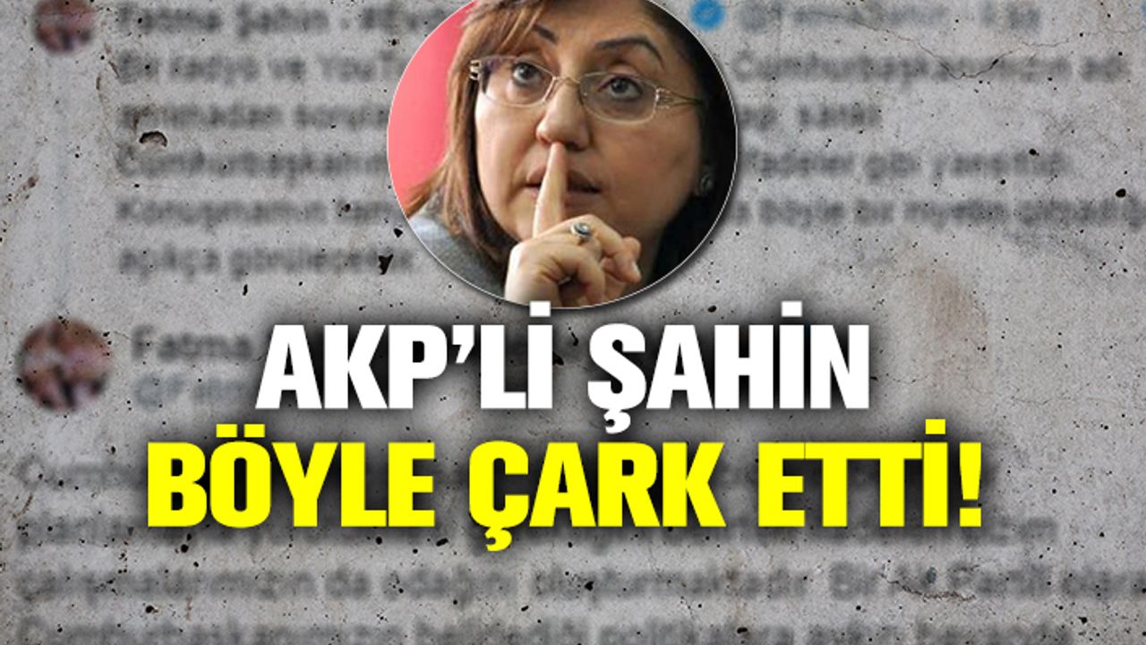 Erdoğan'ın sözlerini eleştiren Fatma Şahin çark etti