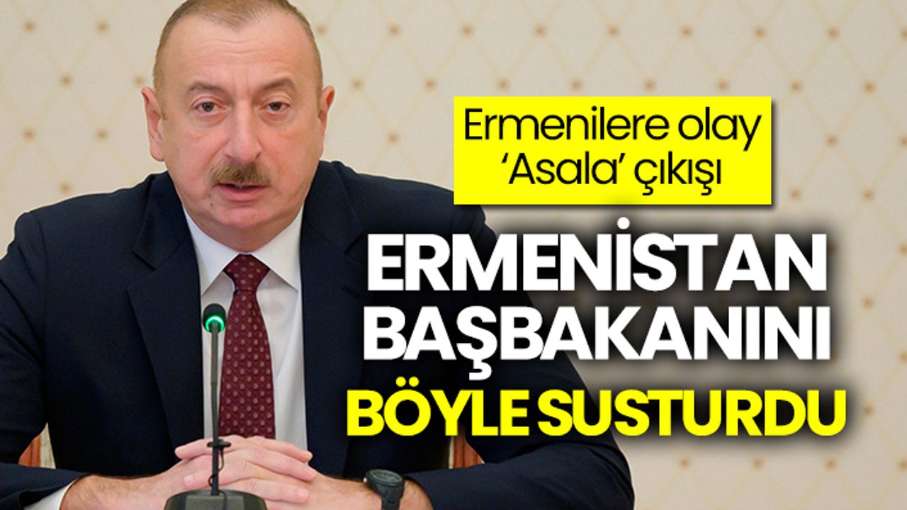 Azerbaycan Cumhurbaşkanı, Ermenistan Başbakanını böyle susturdu