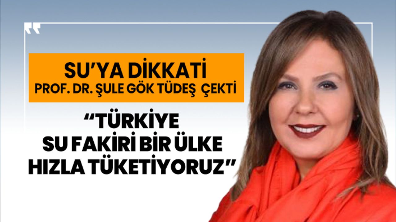 Prof. Dr. Şule Gök Tüdeş ‘Türkiye su fakiri bir ülke hızla tüketiyoruz’