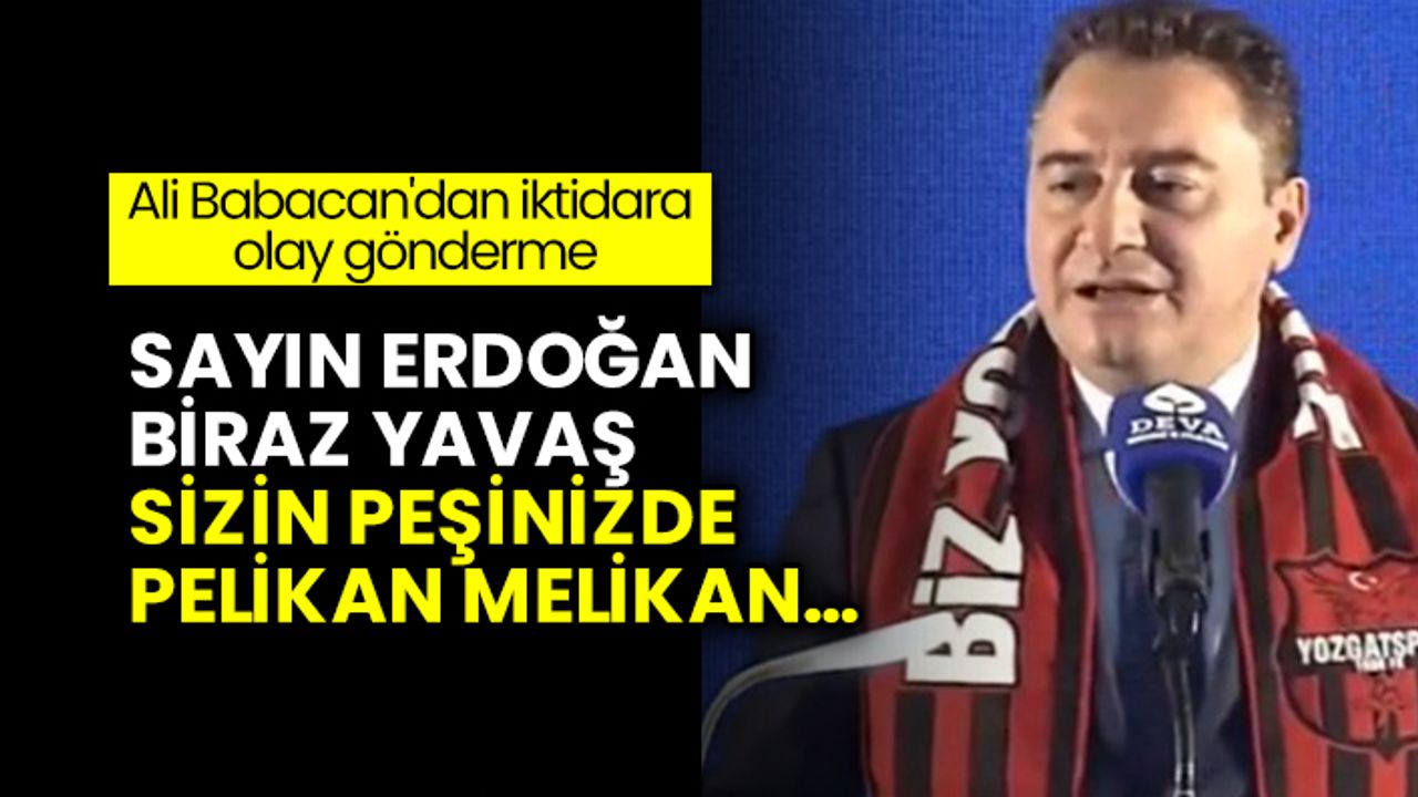 Ali Babacan'dan iktidara olay gönderme: Sayın Erdoğan, biraz yavaş sizin peşinizde pelikan melikan…