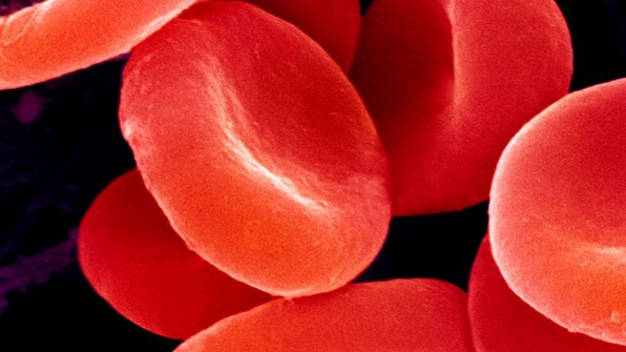 Uzmanı açıkladı! Kan grubunun koronavirüsten koruyucu bir yönü var mı?