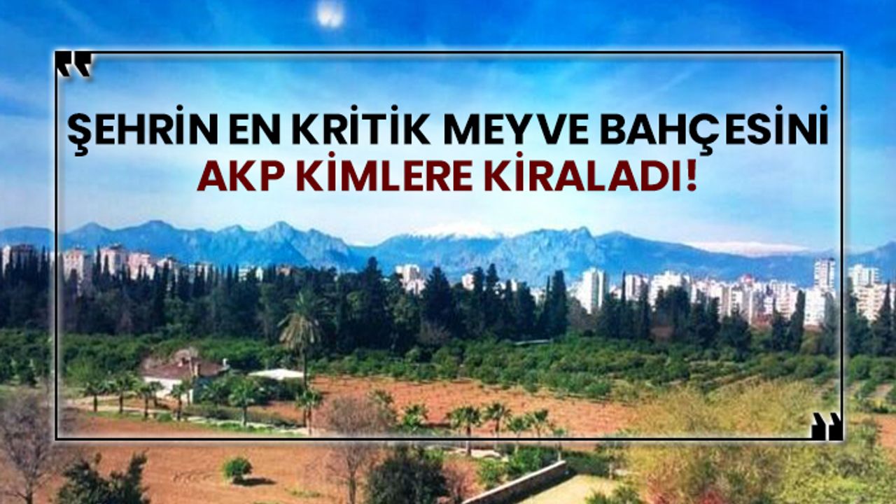 Şehrin en kritik meyve bahçesini AKP kimlere kiraladı!