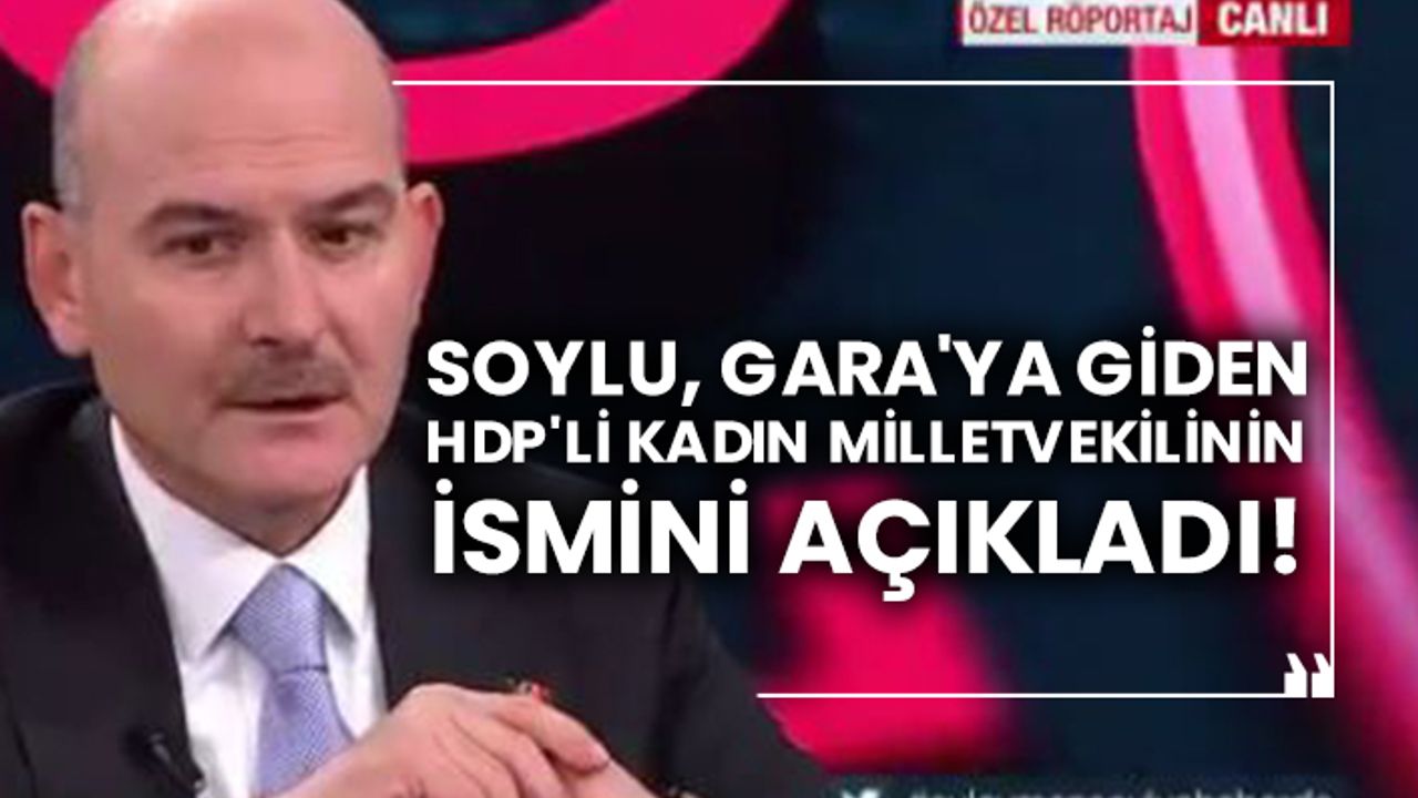 Soylu, Gara'ya giden HDP'li kadın milletvekilinin ismini açıkladı!
