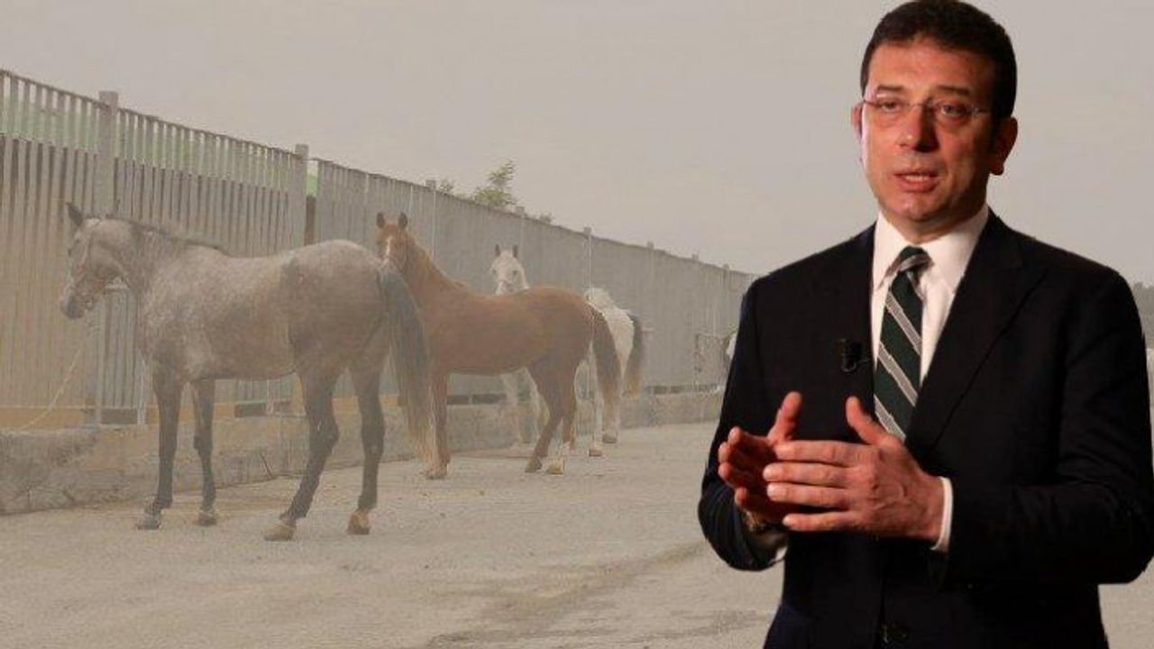 Kaybolan atlarla ilgili İmamoğlu'na Tarım ve Orman İl Müdürlüğü'nden cevap!