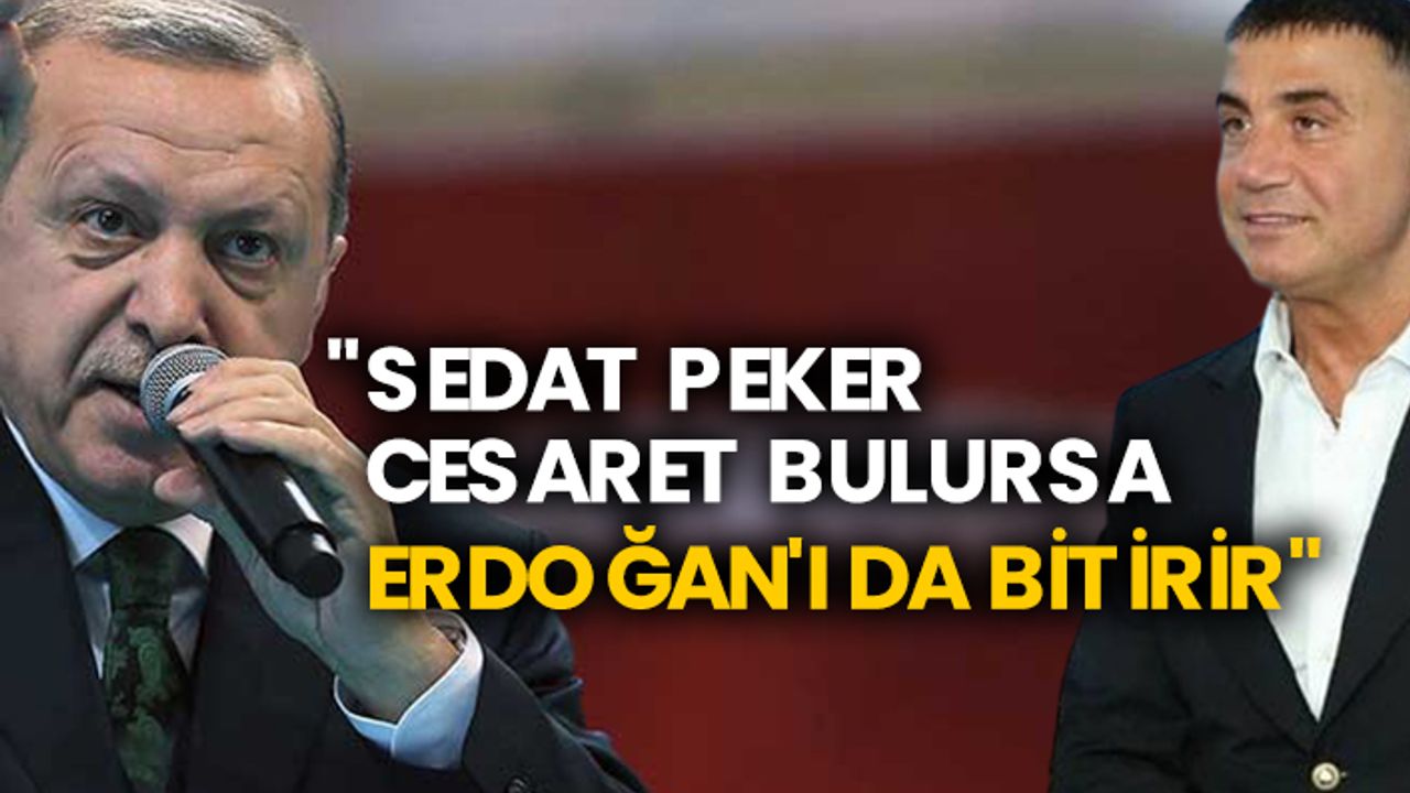 "Sedat Peker cesaret bulursa Erdoğan'ı da bitirir"