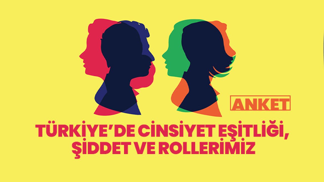 Türkiye’de Cinsiyet Eşitliği,  Şiddet ve Rollerimiz