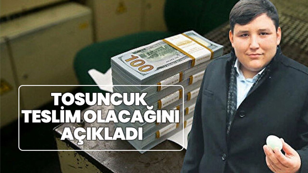 Çiftlikbank'ın kurucusu Mehmet Aydın teslim olacağını açıkladı