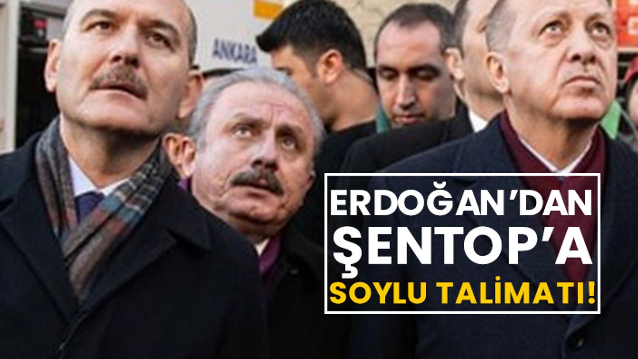 Erdoğan’dan Şentop’a Soylu talimatı!