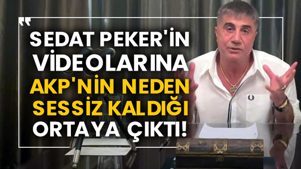 Sedat Peker'in videolarına AKP'nin neden sessiz kaldığı ortaya çıktı!