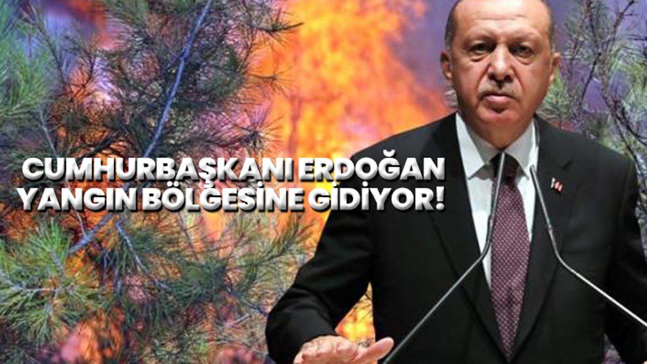 Cumhurbaşkanı Erdoğan yangın bölgesine gidiyor!