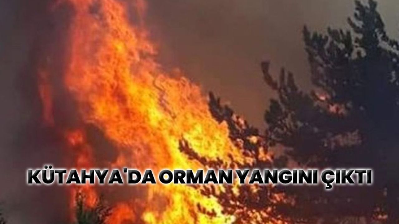 Kütahya'da orman yangını çıktı