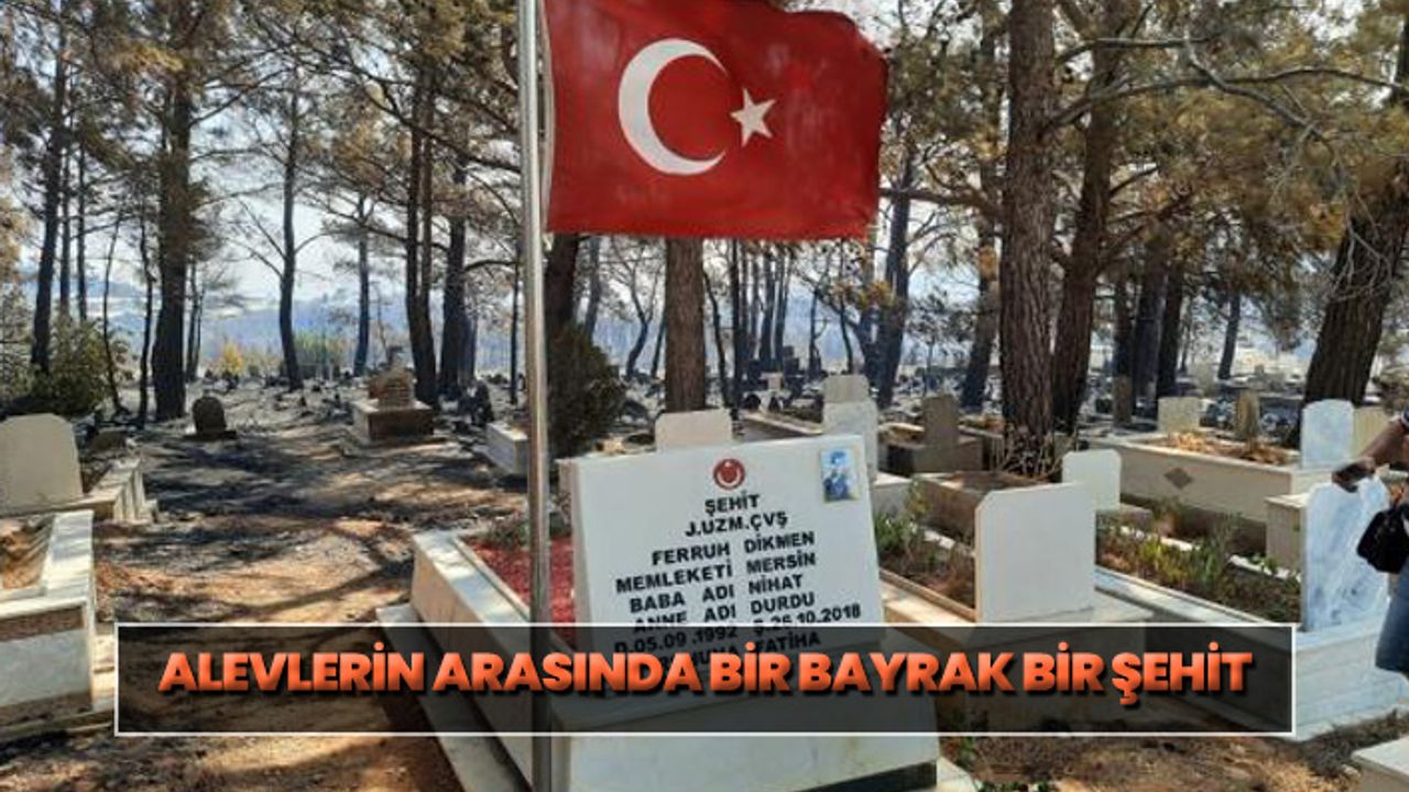 Mersin'deki yangında şehit kabri ve Türk bayrağı yanmadı