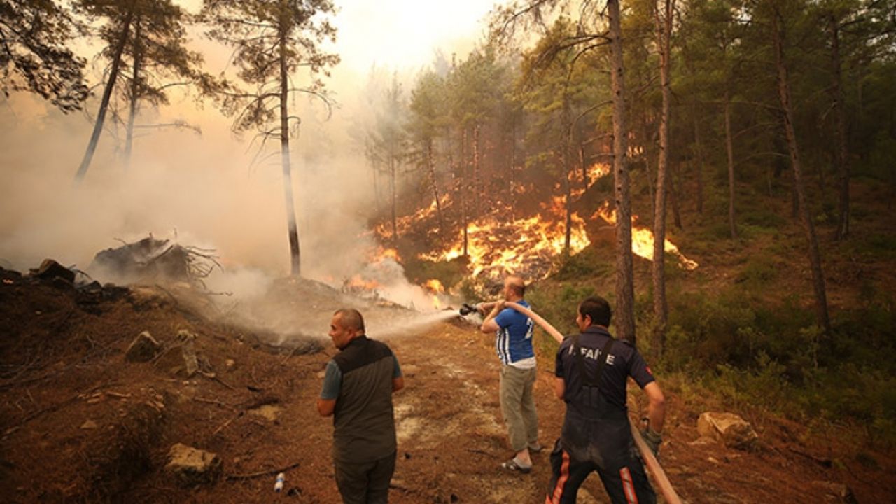 Bakanlık resmen duyurdu: Orman yangınları nedeniyle ertelendi