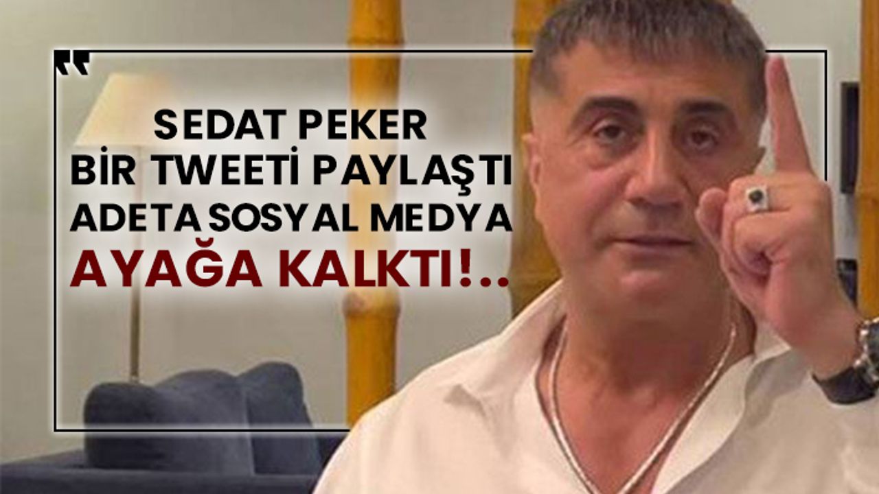 Sedat Peker bir tweeti paylaştı adeta sosyal medya ayağa kalktı!..