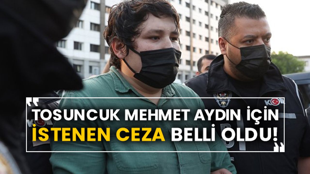 Tosuncuk Mehmet Aydın için istenen ceza belli oldu!
