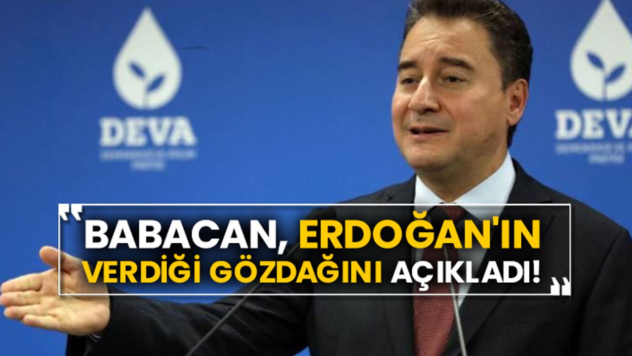 Ali Babacan, Erdoğan'ın verdiği gözdağını açıkladı!