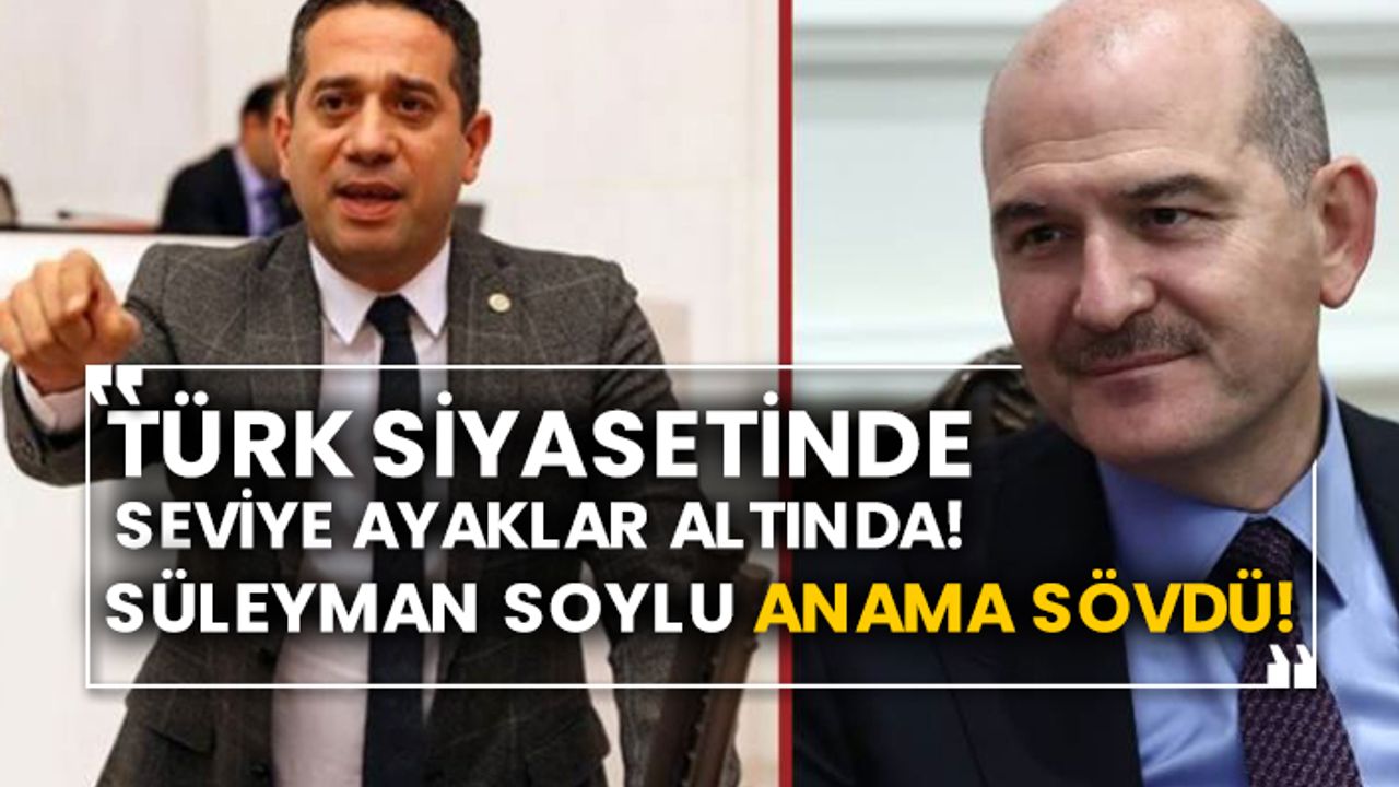 Türk siyasetinde seviye ayaklar altında! Süleyman Soylu anama sövdü!