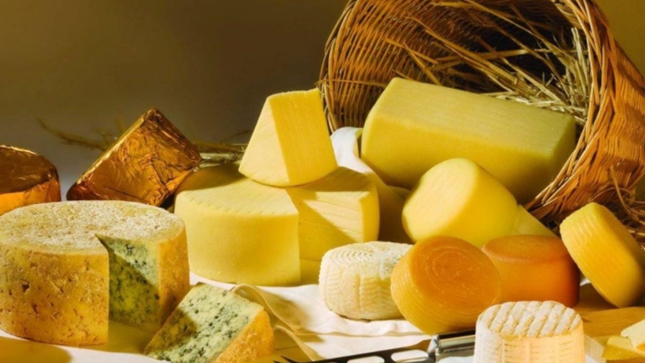 Antalya'da Avrupa'nın En Ünlü Peynirlerini Üretiyor