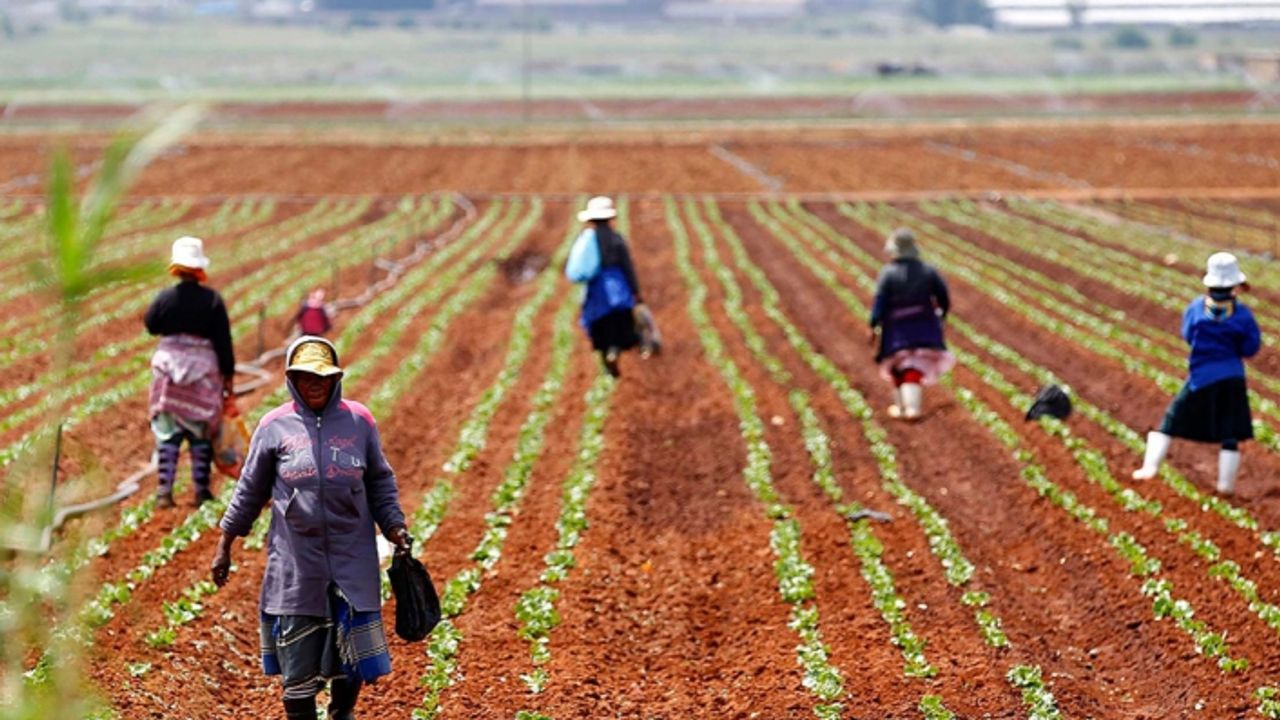 AKP'ye toprak yetmedi! Afrika ve Güney Amerika'da 10 ülkeden tarım arazisi kiralanacak