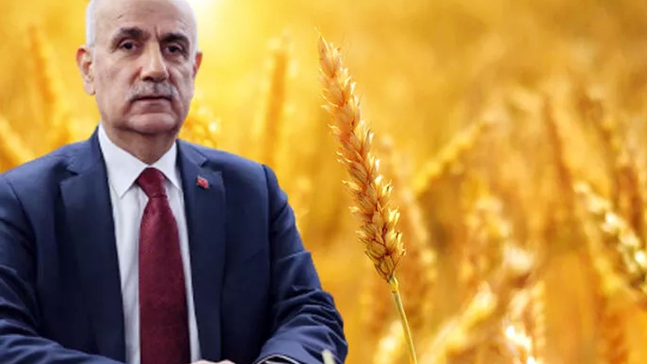 TİGEM'in sertifikalı tohum fiyatları açıklandı