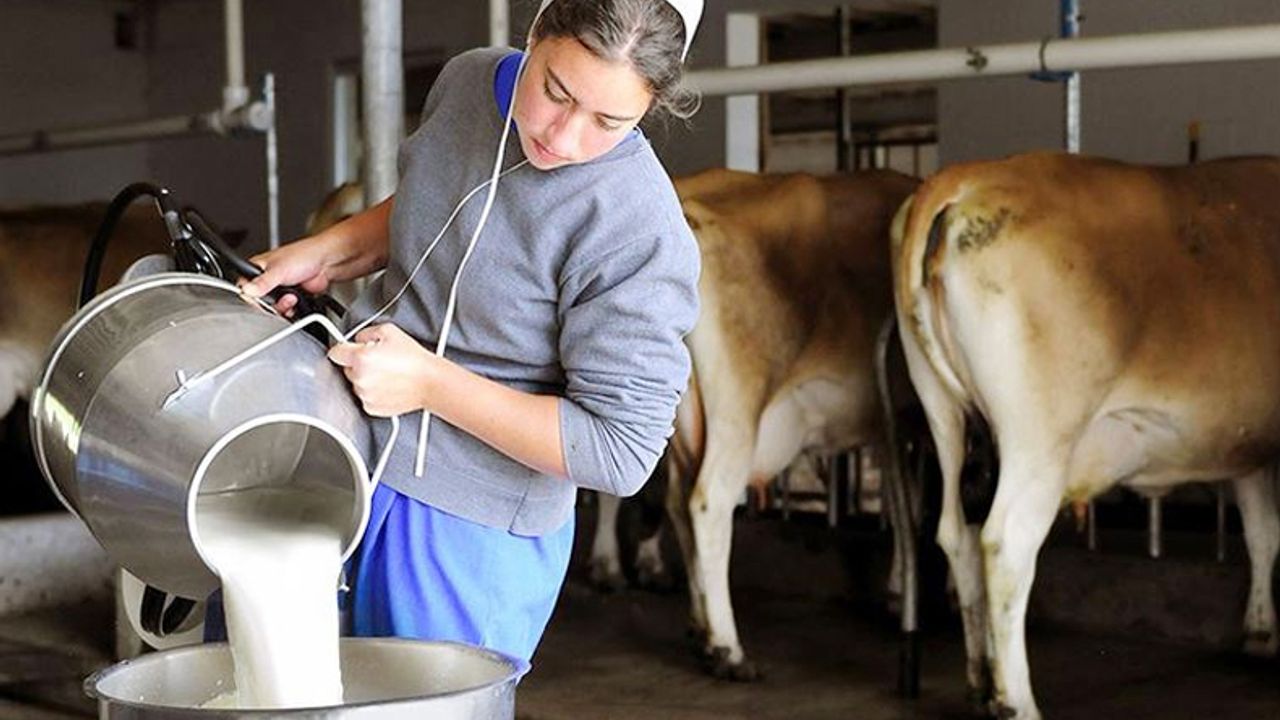 Süt fiyatı çiftlikte üreticiyi markette vatandaşı vurdu