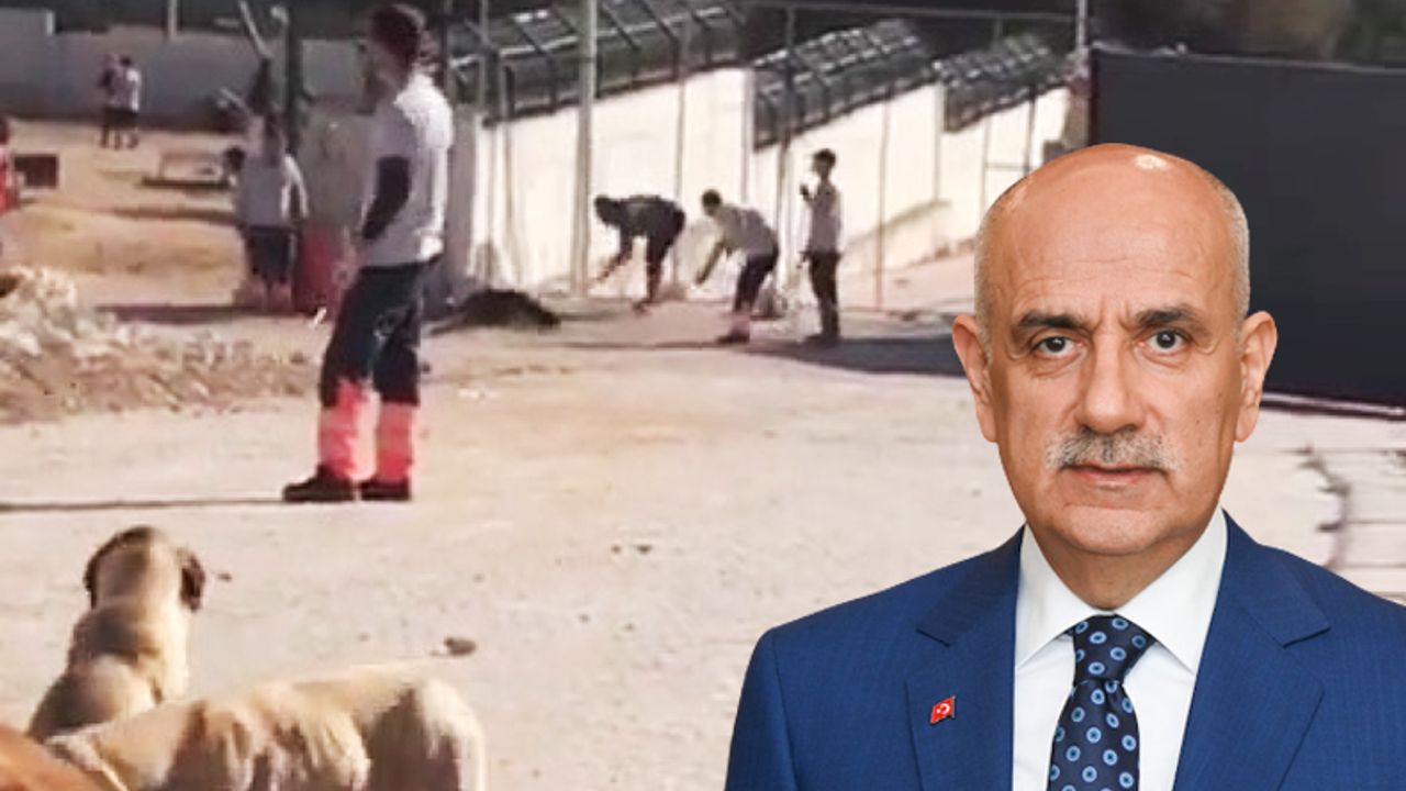 Bakan Kirişci'den Konya'daki köpek katliamıyla ilgili açıklama