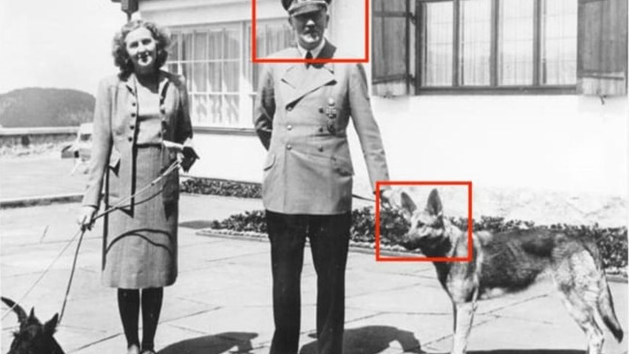 Hitler'in 'Atatürk ' montajlı fotoğrafını Devlet Bahçeli'ye hediye etti!