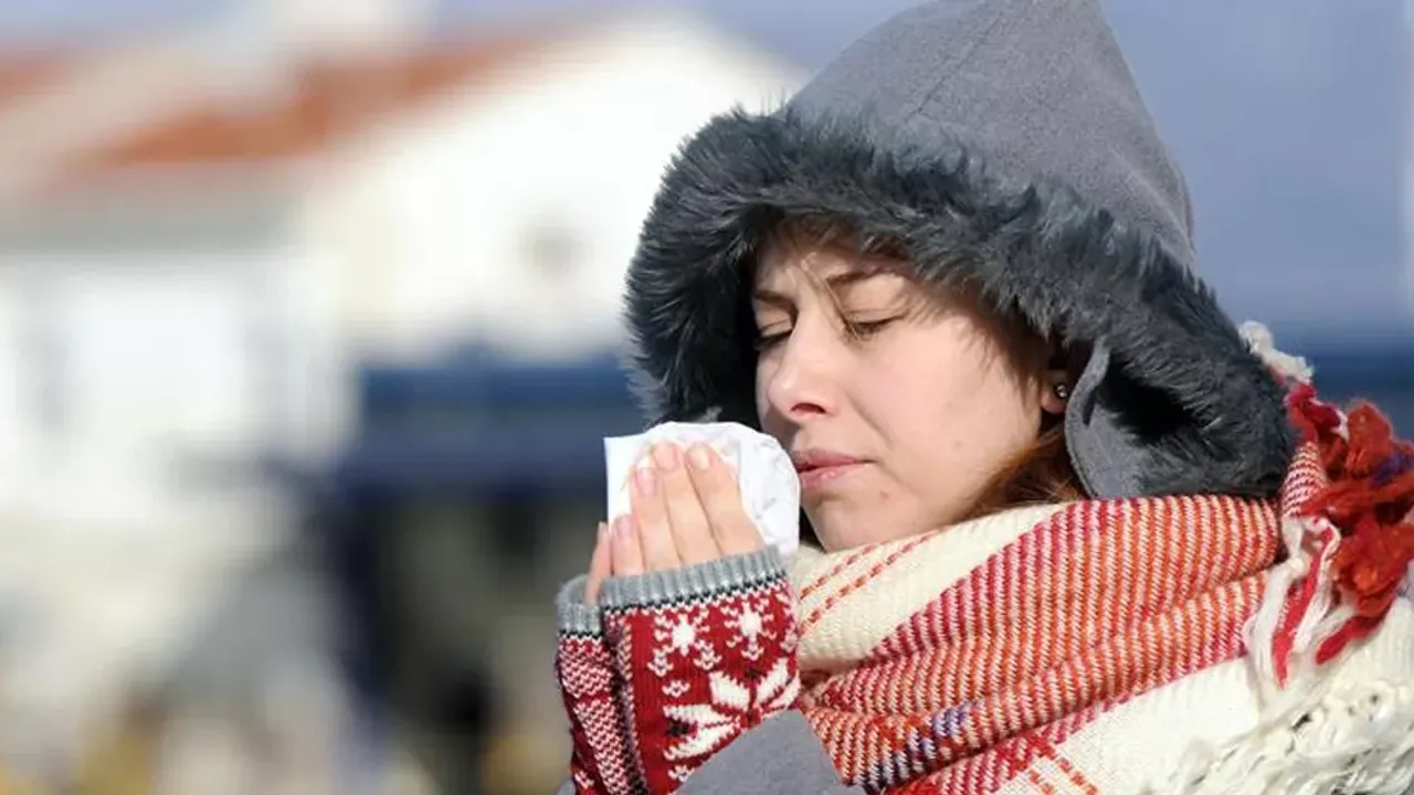 Avusturya, grip salgınıyla uğraşıyor: Bir haftada 394 bin yeni hasta