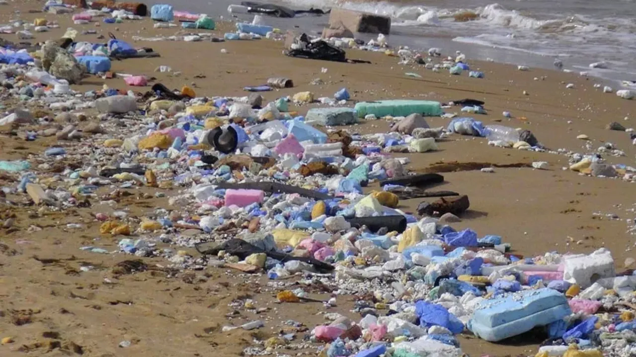 Doğa katlediliyor: Sarıyer Sahili çöp yığını oldu!