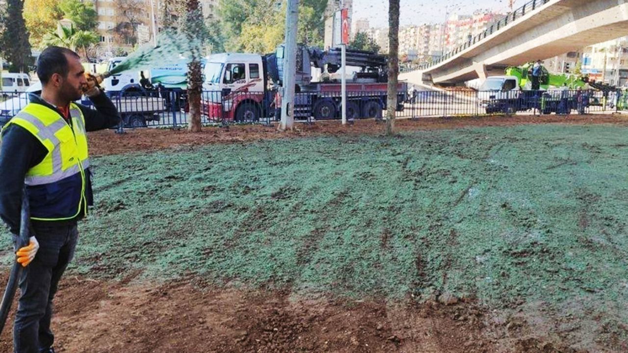 Erdoğan geliyor diye yeşile boyanmıştı: O toprak ihaleye çıkarıldı