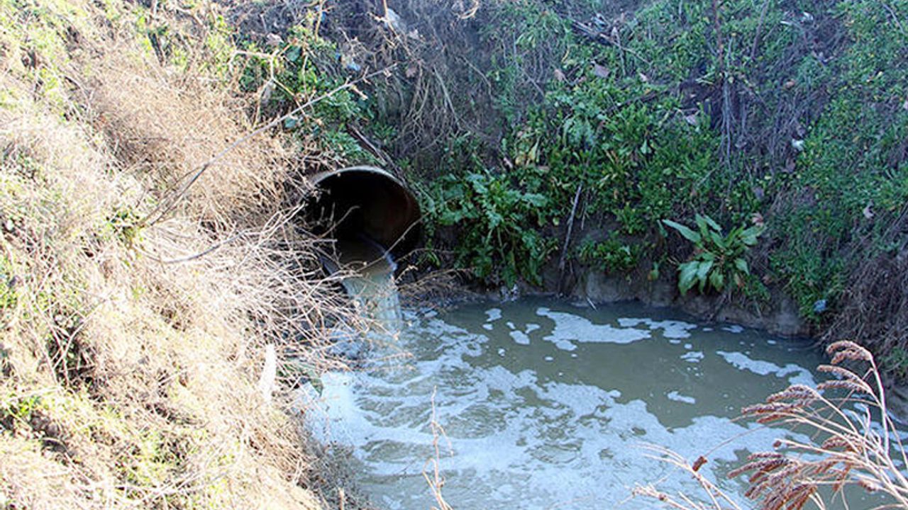Kanalizasyon suları Tunca Nehri'ni tehdit ediyor