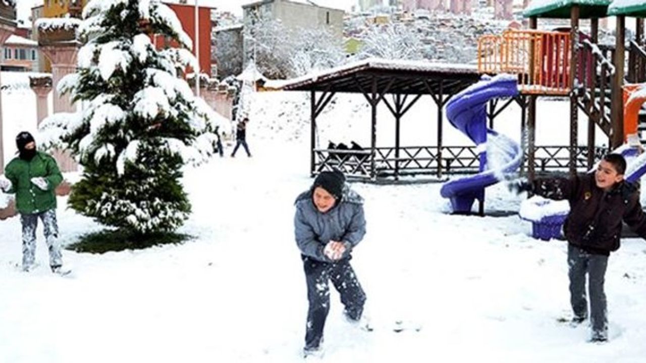 Van'da üç ilçede okullara kar tatili