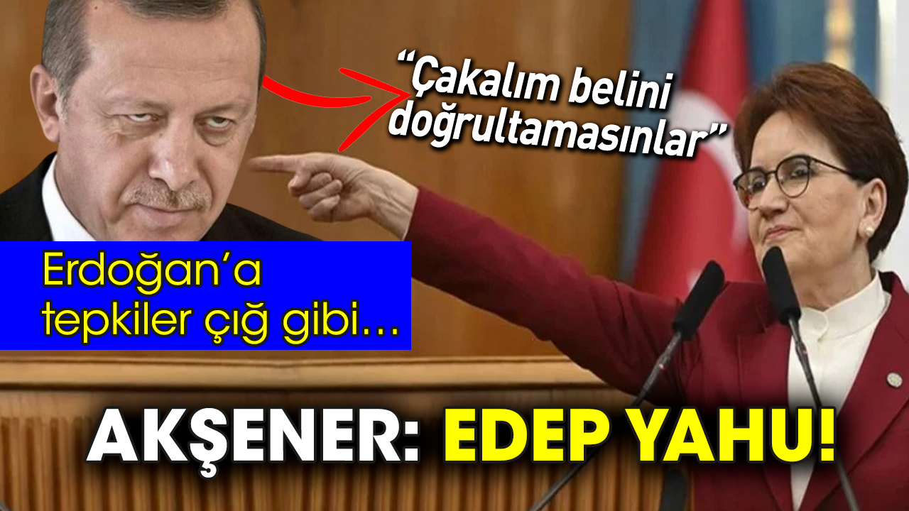 “Çakalım belini doğrultamasınlar” Akşener'den Erdoğan’a: Edep yahu!