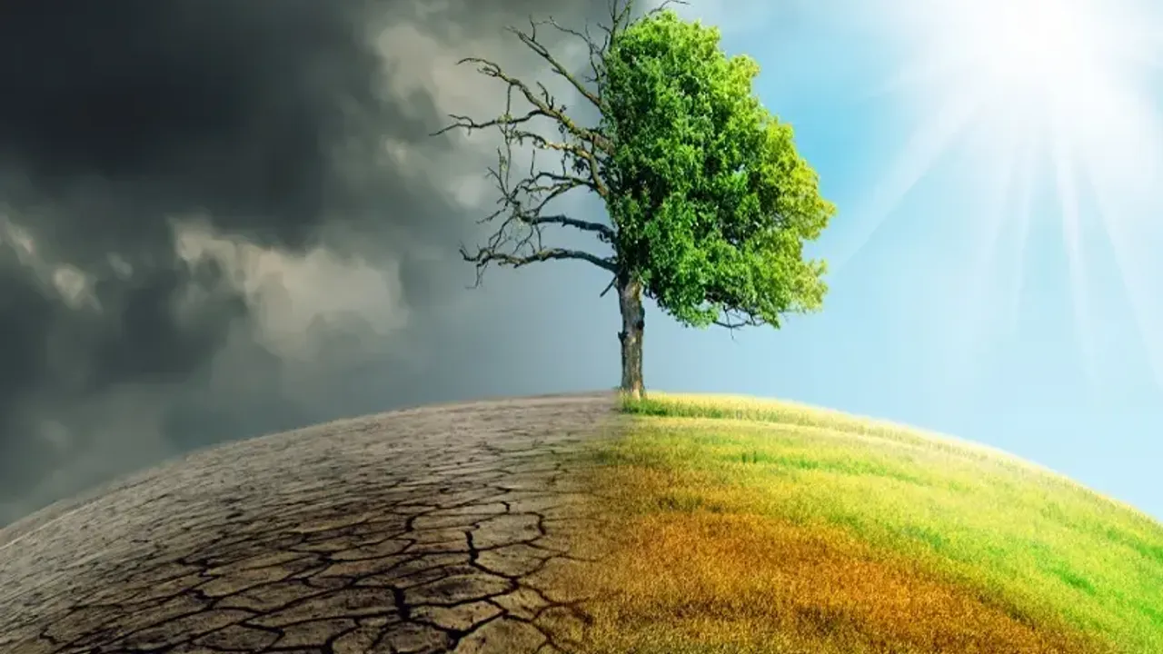Küresel iklim krizi derinleşirken bilim adamları uyarıyor! "Hâlâ umut var"