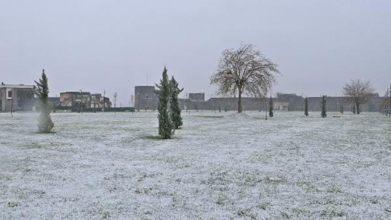 Diyarbakır'da kar yağışı etkili oldu