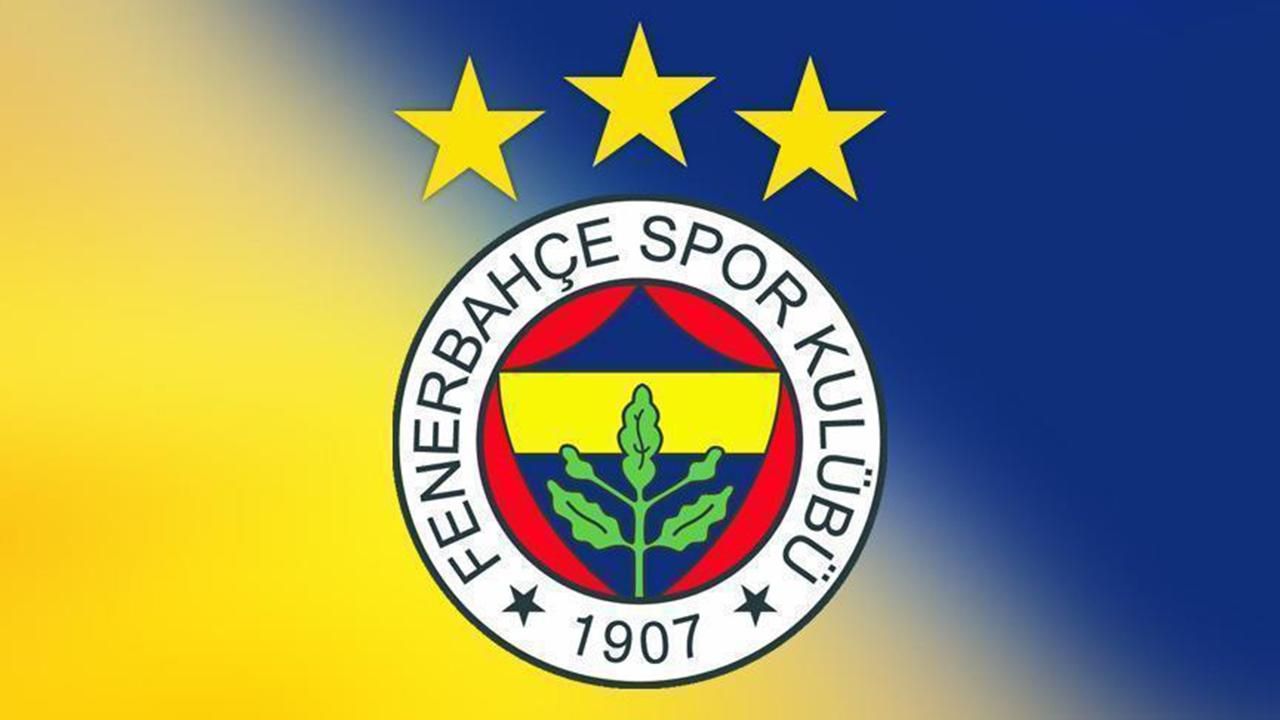 Fenerbahçe'de sakatlıklar devam ediyor