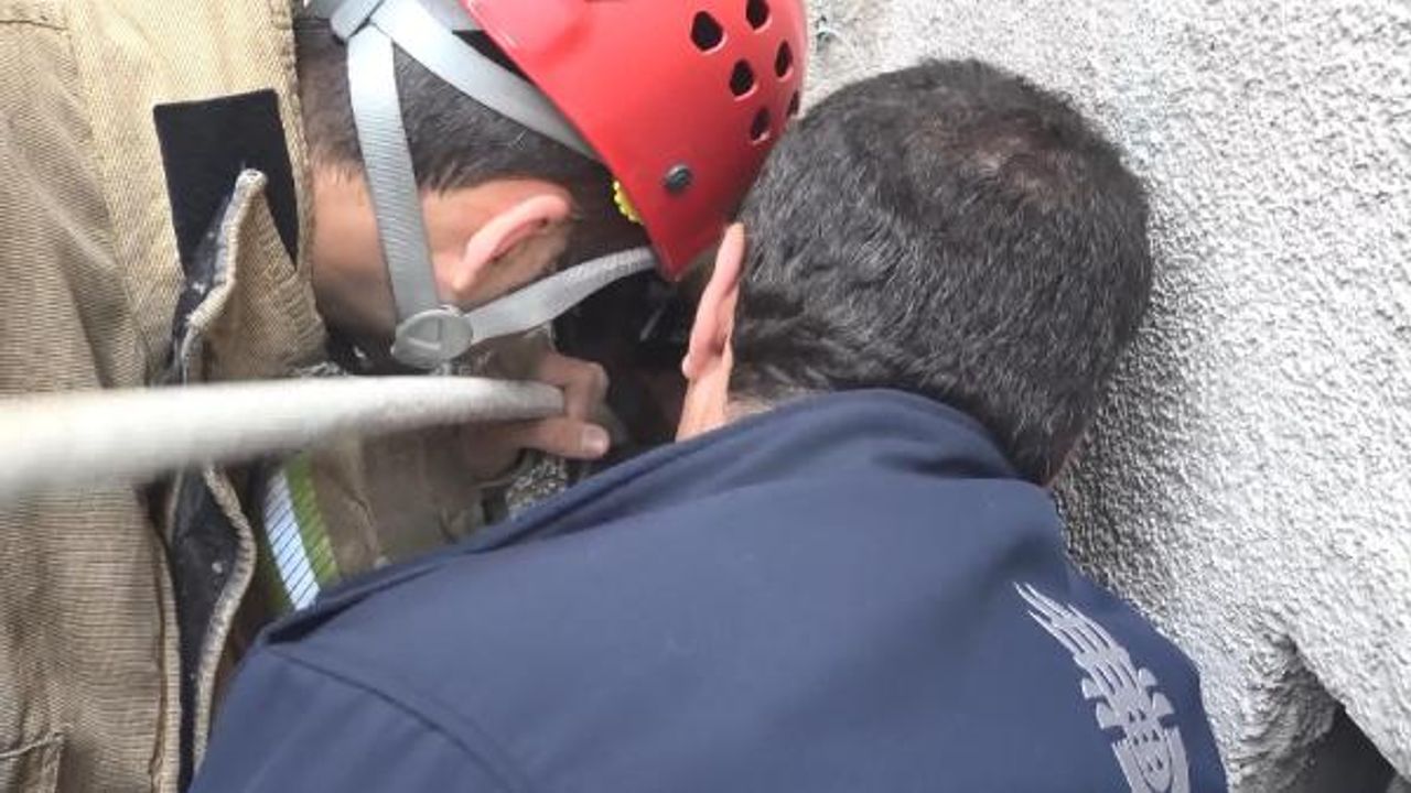 Avcılar’da havalandırma boşluğundaki yavru kediler duvar kırılarak kurtarıldı