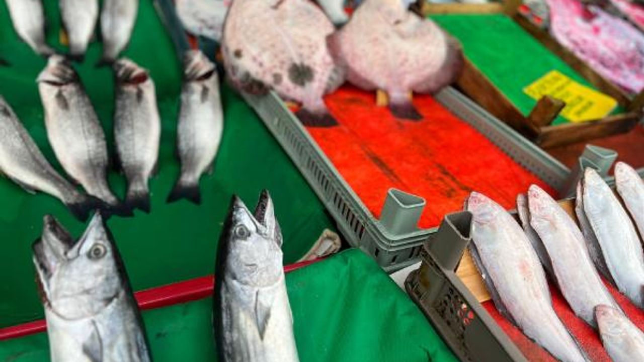 Marmara Denizi'nde balık türü azalıyor