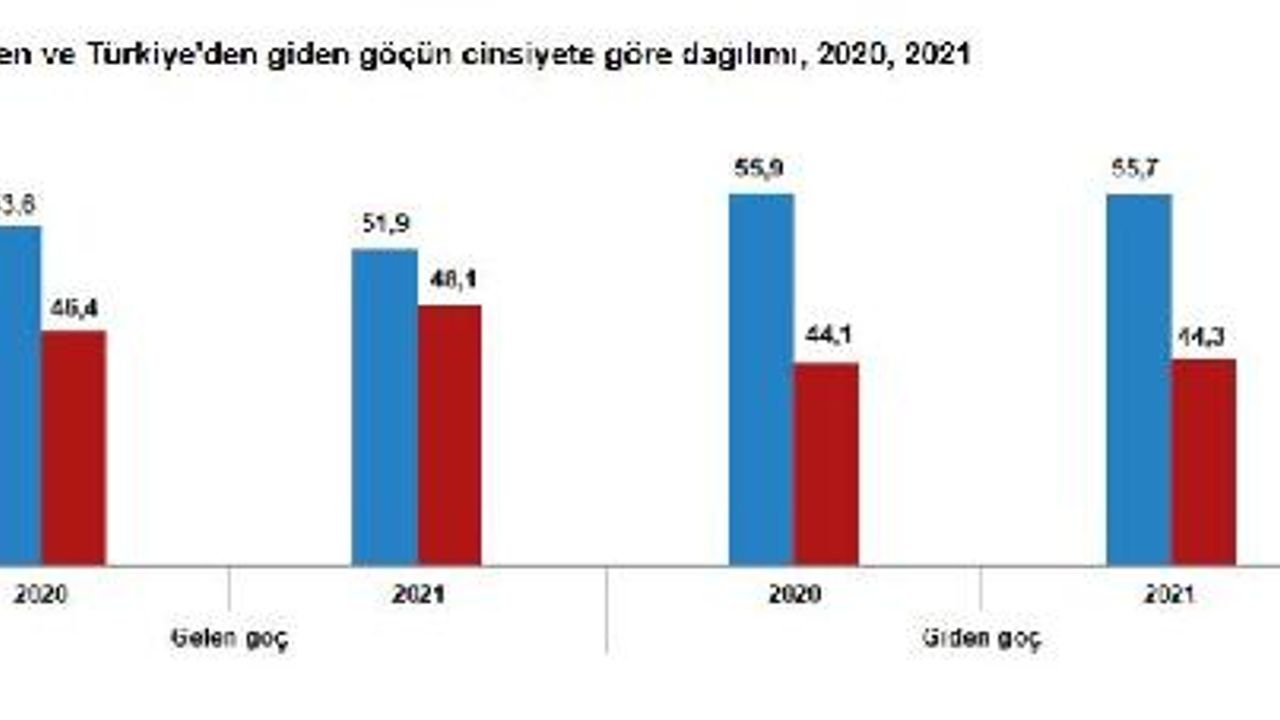 TÜİK: 2021'de yurt dışından Türkiye'ye 739 bin 364 kişinin göç etti