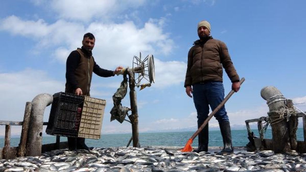 Vanlı balıkçılar son kez ağlarını göle attı