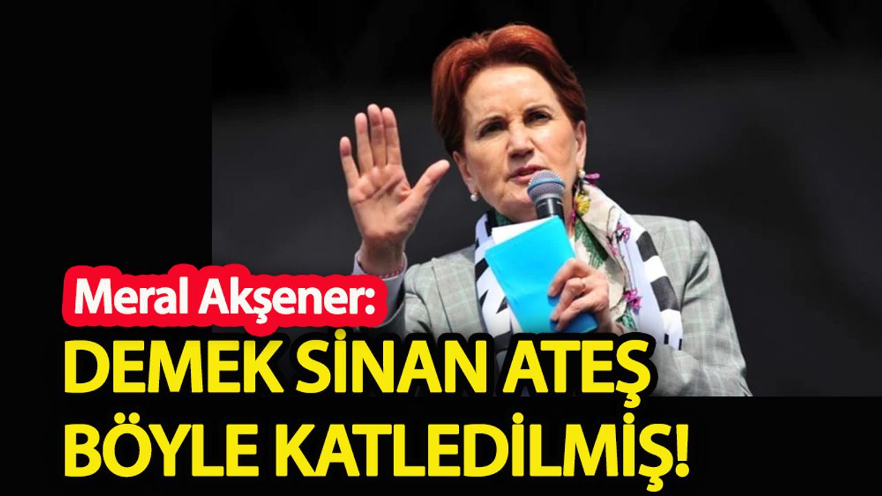 Meral Akşener: Demek Sinan Ateş böyle katledilmiş!