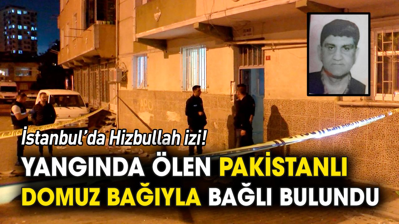 İstanbul'da Hizbullah izi: Domuz bağıyla bağlanmış halde  bulundu