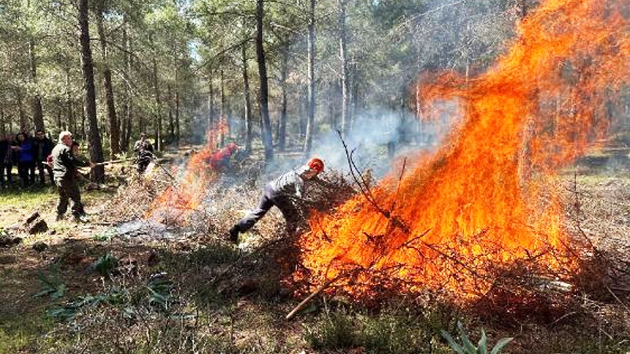 Orman yangınları için 'açıkta ateş' uyarısı