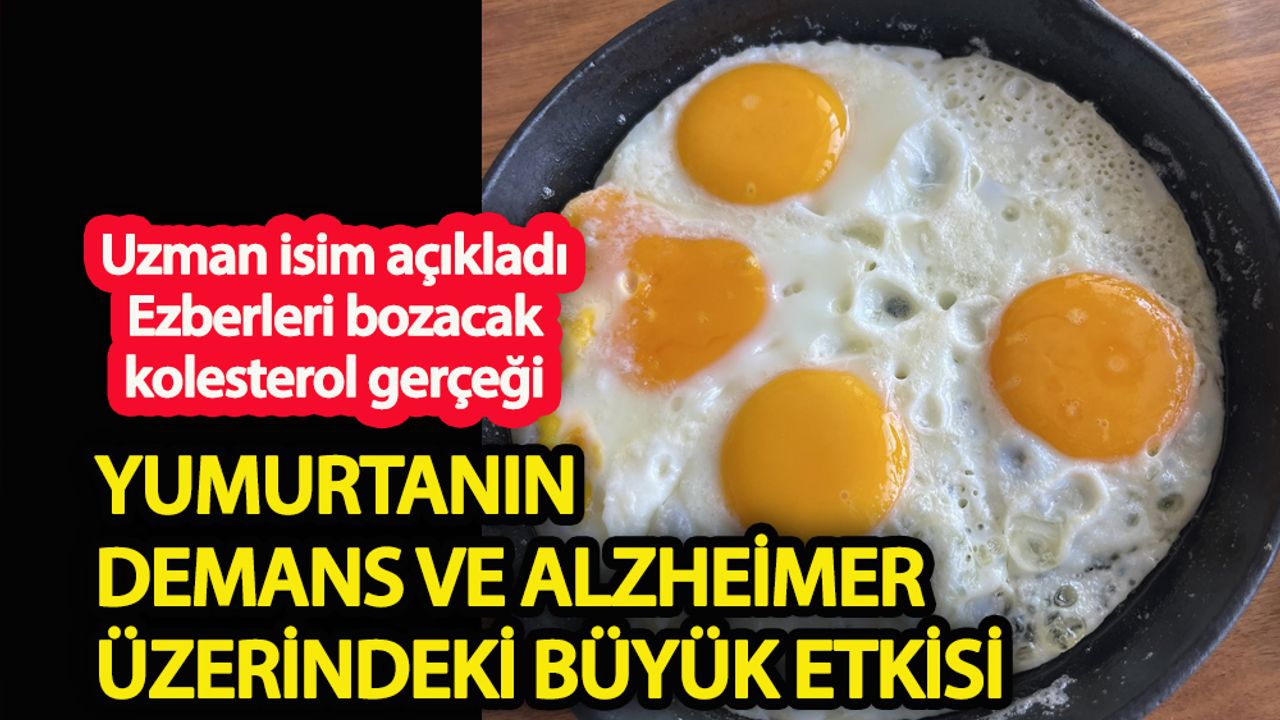 Yumurtanın Demans ve Alzheimer üzerindeki büyük etkisi