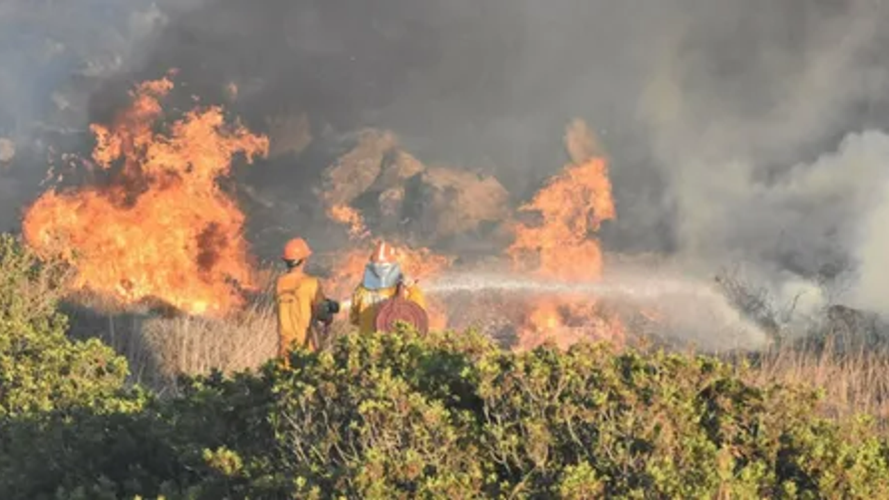 Muğla'da arazide başlayan yangın ormana sıçradı