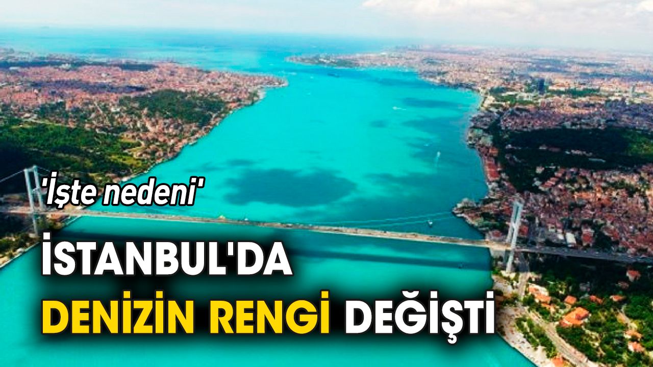 İstanbul'da denizin rengi değişti 'İşte nedeni'