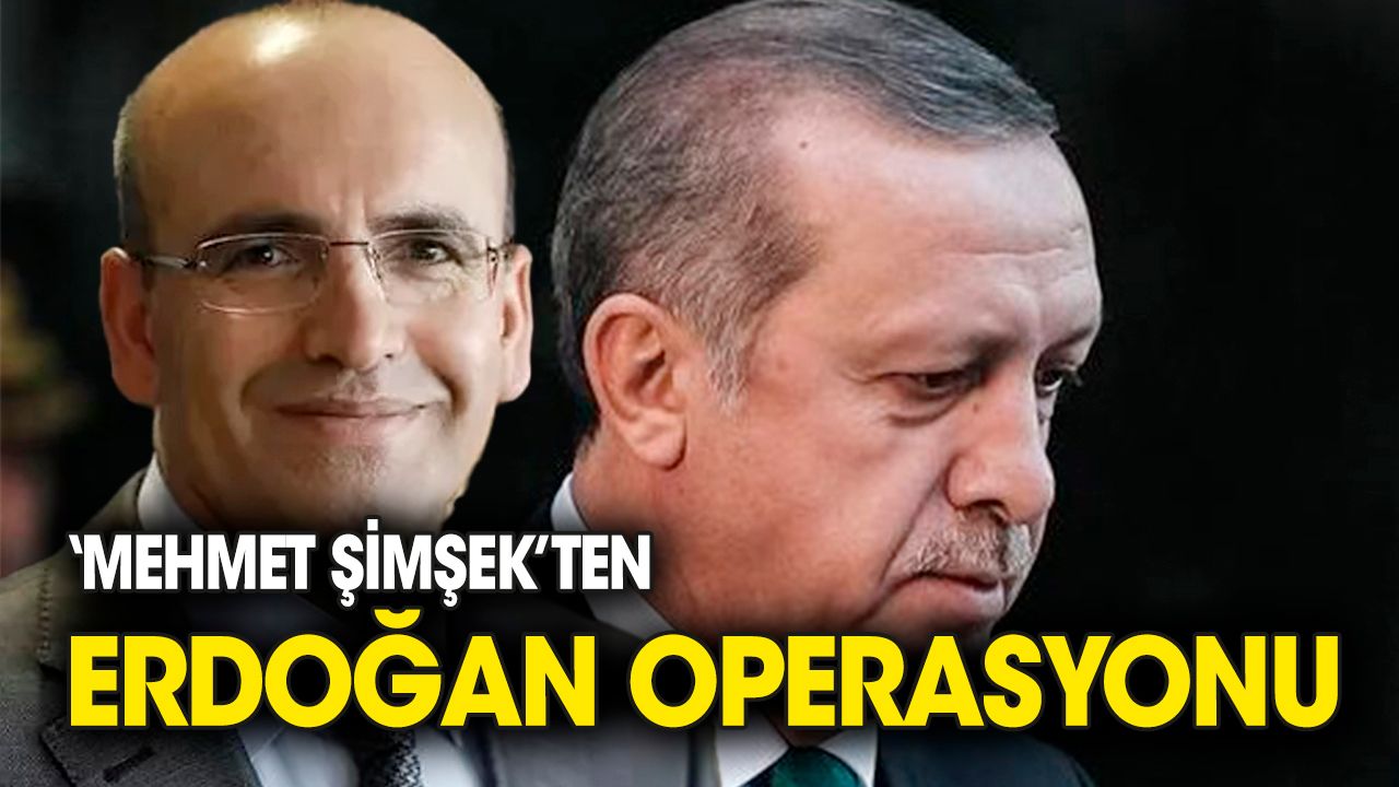 Mehmet Şimşek'ten Erdoğan operasyonu