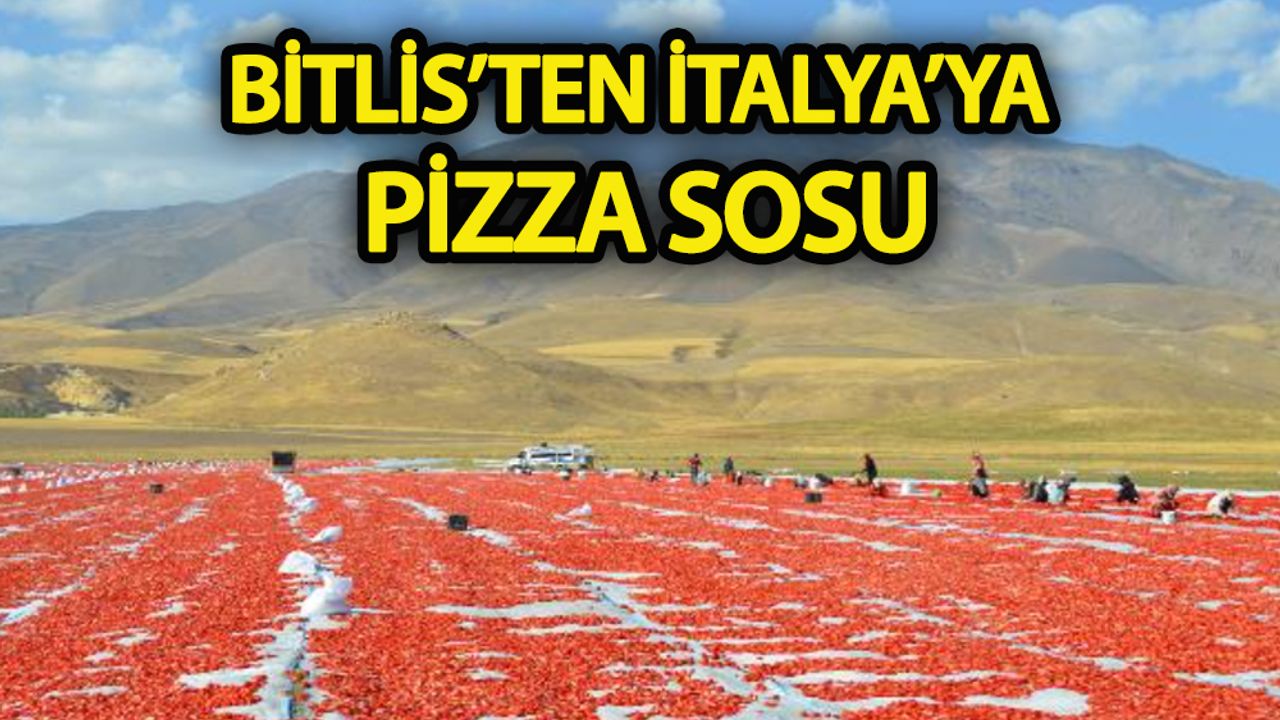 Adilcevaz’dan İtalya’ya pizzalara sos oluyor!